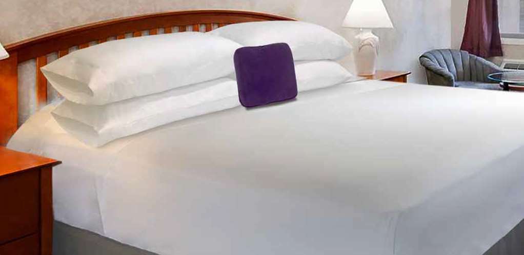 Econo Lodge Franklin Værelse billede